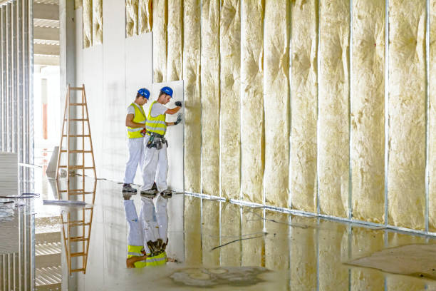 Best Residential Insulation in Jordan, MN